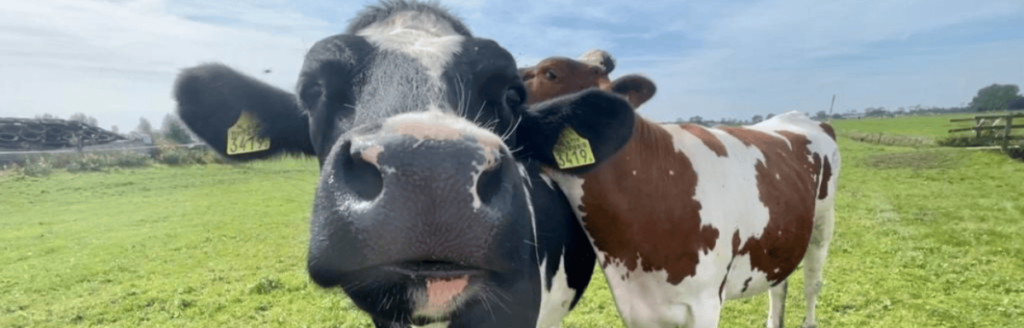 Boerenbelevingstocht home - ontdek de schatten van het platteland (1)